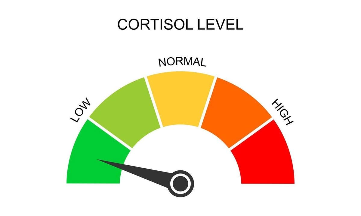 LDL vs HDL Cholesterol: What the Numbers on Your Lipid Panel Mean